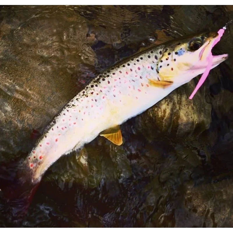 Силиконова примамка FISHUP Scaly 2.8 inch - Garlic Taste - Floating