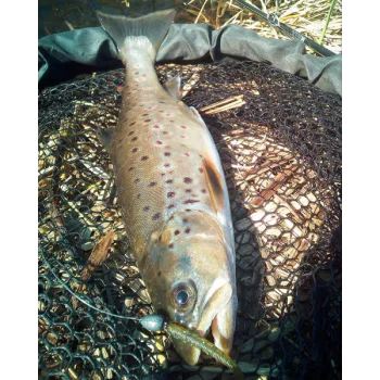 Силиконова примамка FISHUP Scaly 2.8 inch Cheese Taste