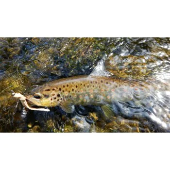 Силиконова примамка FISHUP Scaly FAT 3.2 inch