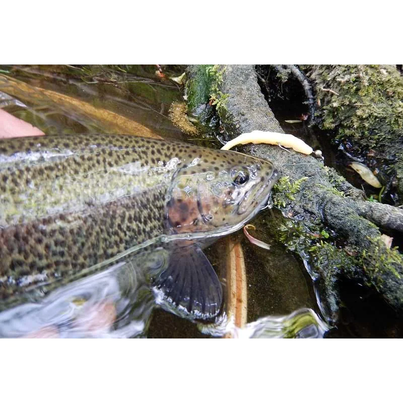 Силиконова примамка FISHUP Scaly FAT 3.2 inch