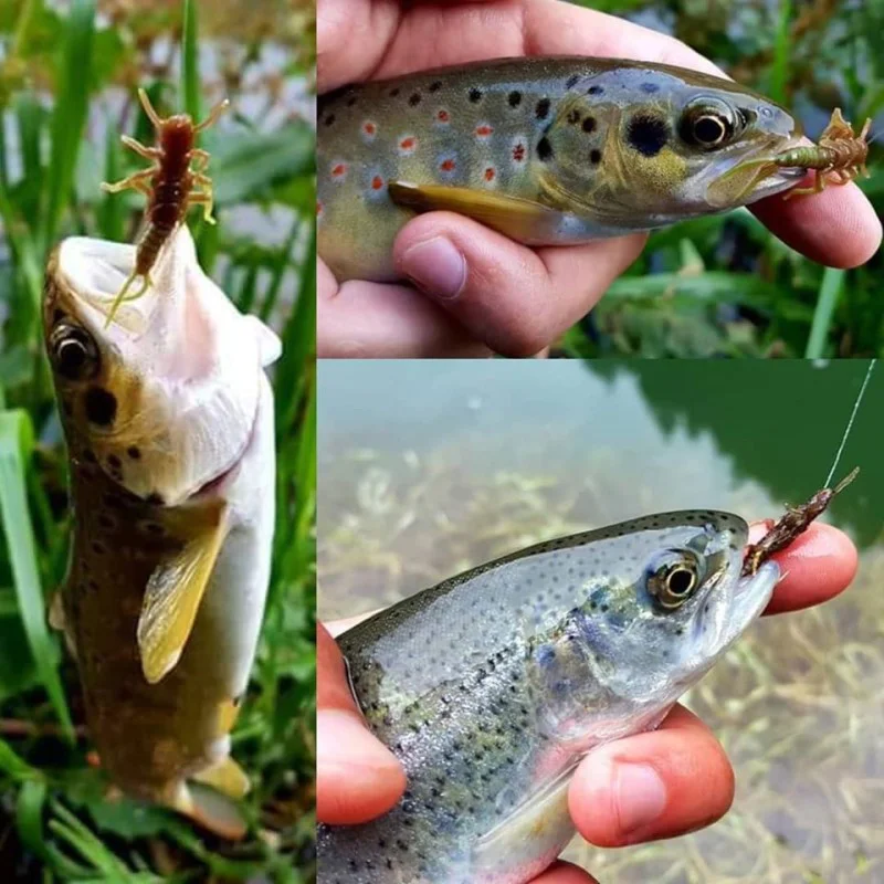 Силиконова примамка FISHUP Stonefly 0.75 inch