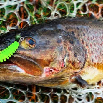 Силиконова примамка FISHUP Tanta 2.5 inch