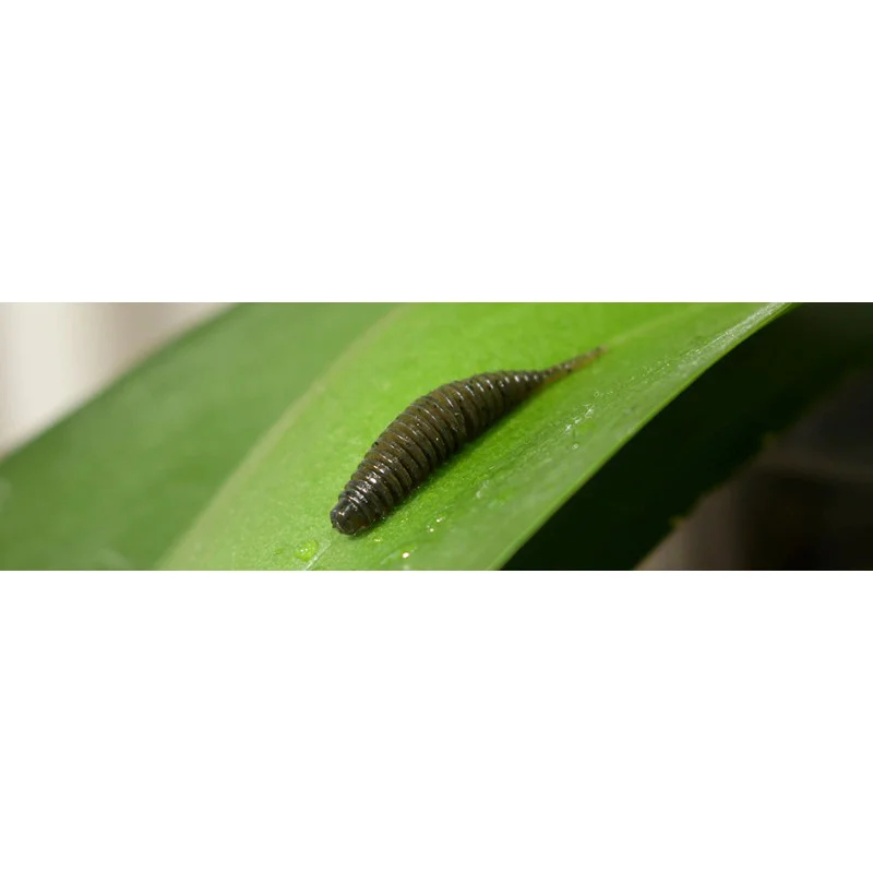 Силиконова примамка FISHUP Tanta 2 inch