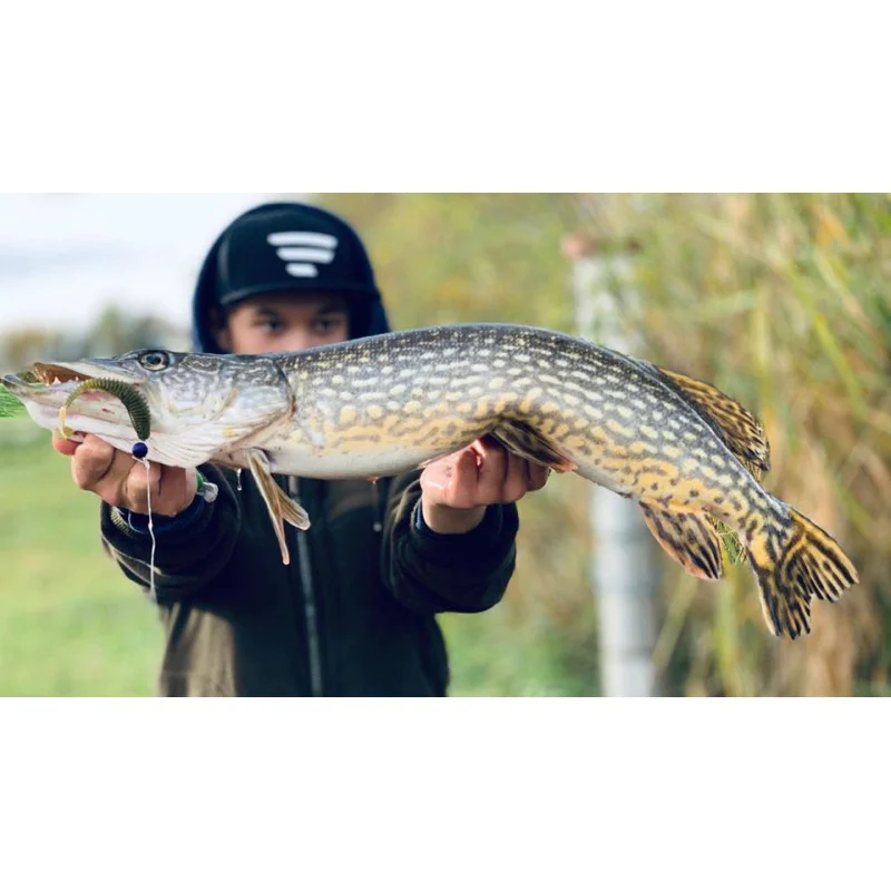 Силиконова примамка FISHUP U-Shad 4 inch