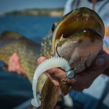 Силиконова примамка FISHUP U-Shad 4 inch