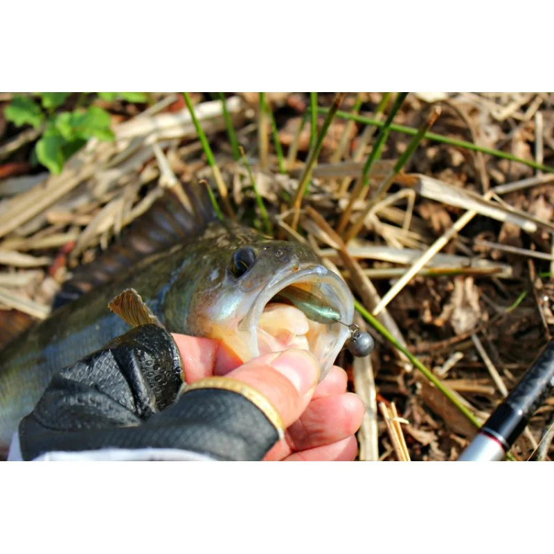 Силиконова примамка FISHUP Wizzy 1.5 inch