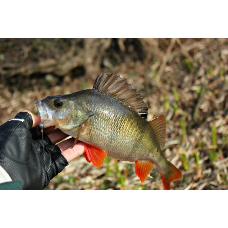 Силиконова примамка FISHUP Wizzy 1.5 inch