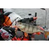 Силиконова примамка FISHUP Wizzle Shad 1.4 inch