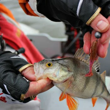 Силиконова примамка FISHUP Wizzle Shad 1.4 inch