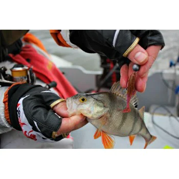 Силиконова примамка FISHUP Wizzle Shad 1.4 inch