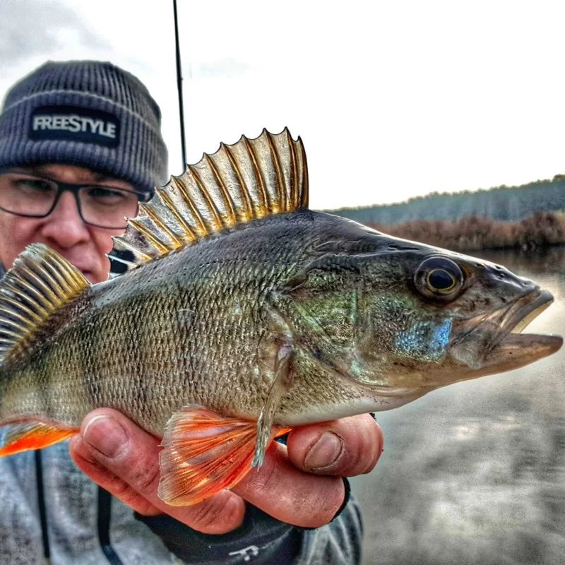 Спининг въдица FREESTYLE Skillz V2 Micro Lure 190 1-8g