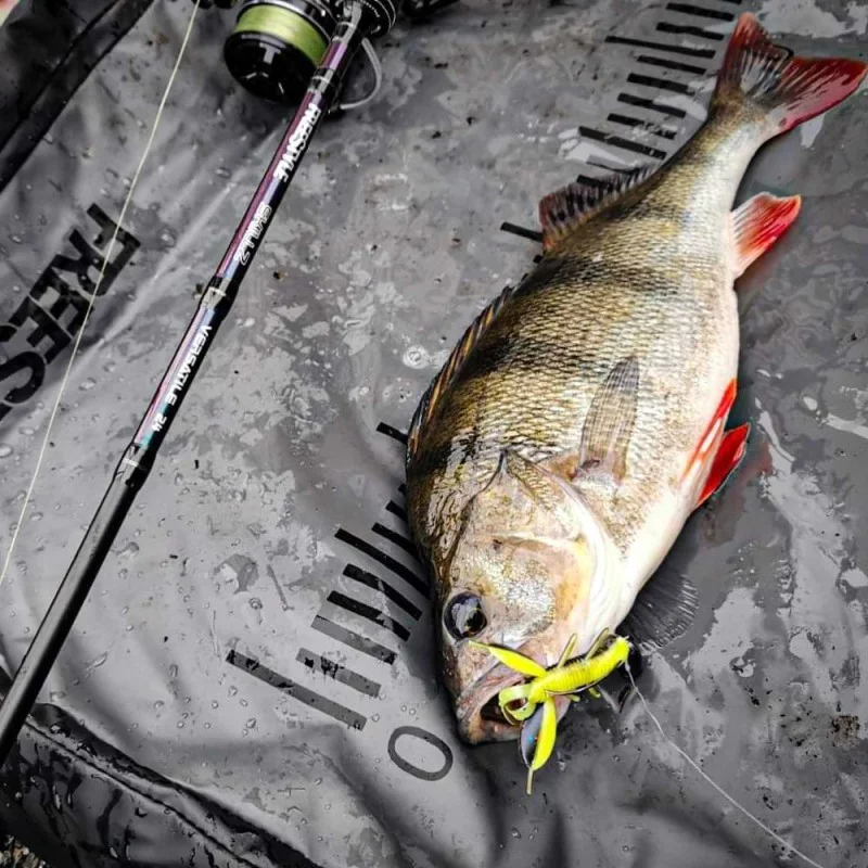 Спининг въдица FREESTYLE Skillz V2 Versatile 240 5-21g