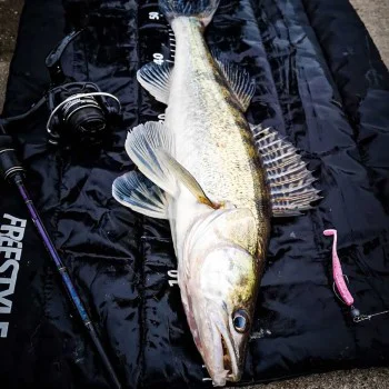 Спининг въдица FREESTYLE Skillz V2 Versatile 240 5-21g