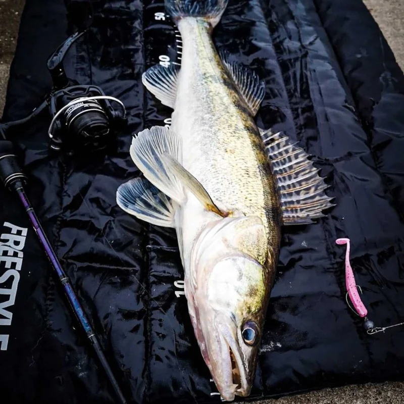 Спининг въдица FREESTYLE Skillz V2 Versatile 240 5-21g