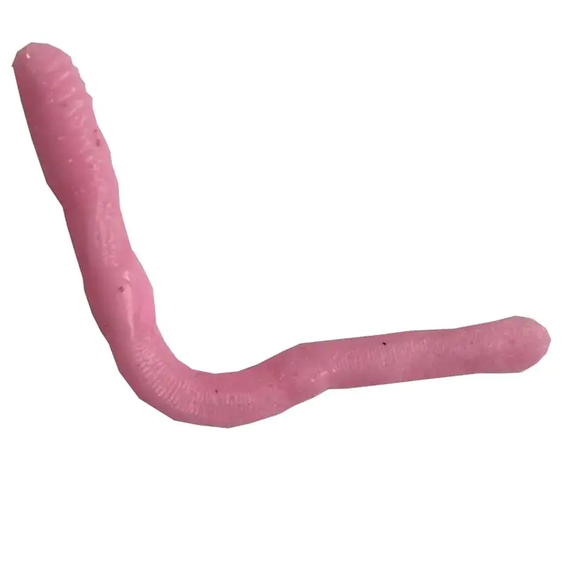 Силиконова примамка GIANNAZZO Earthworm - 9cm