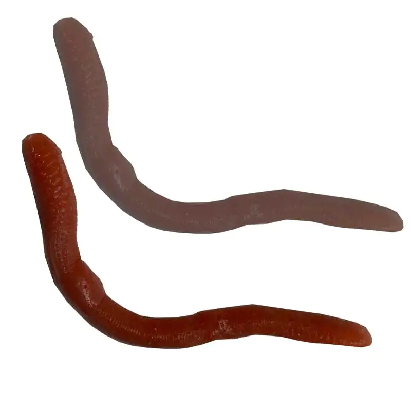 Силиконова примамка GIANNAZZO Earthworm - 9cm
