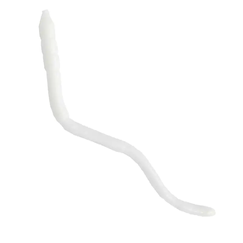 Силиконова примамка GIANNAZZO Worm - 10cm