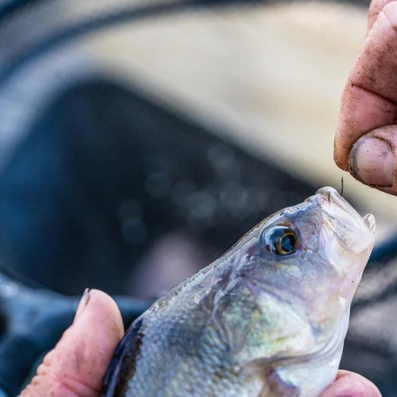 Куки единични GURU Kuranku Micro Barb