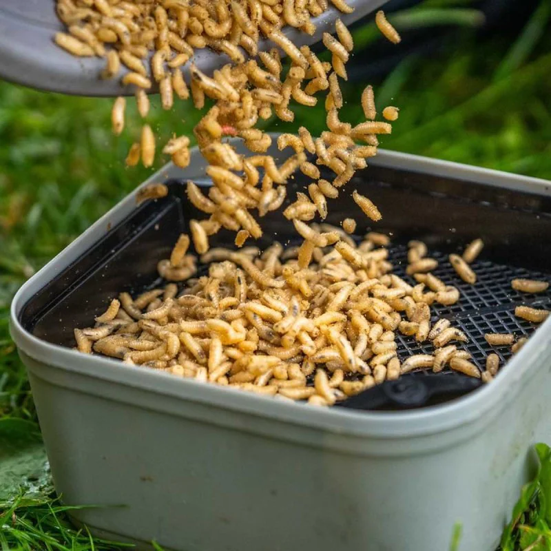 Сито GURU Maggot Riddle