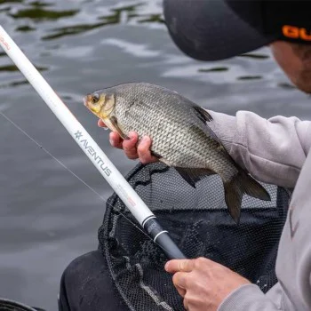 Къса щека - уип GURU Aventus Zero 600 System Whip 8m