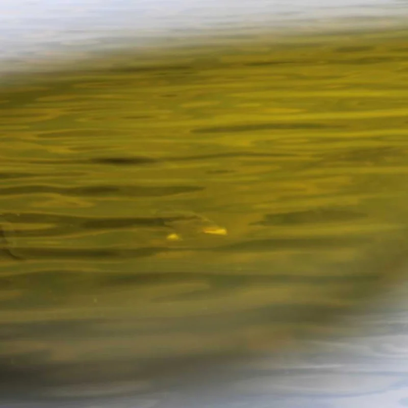 Очила GAMAKATSU G-Glasses Racer