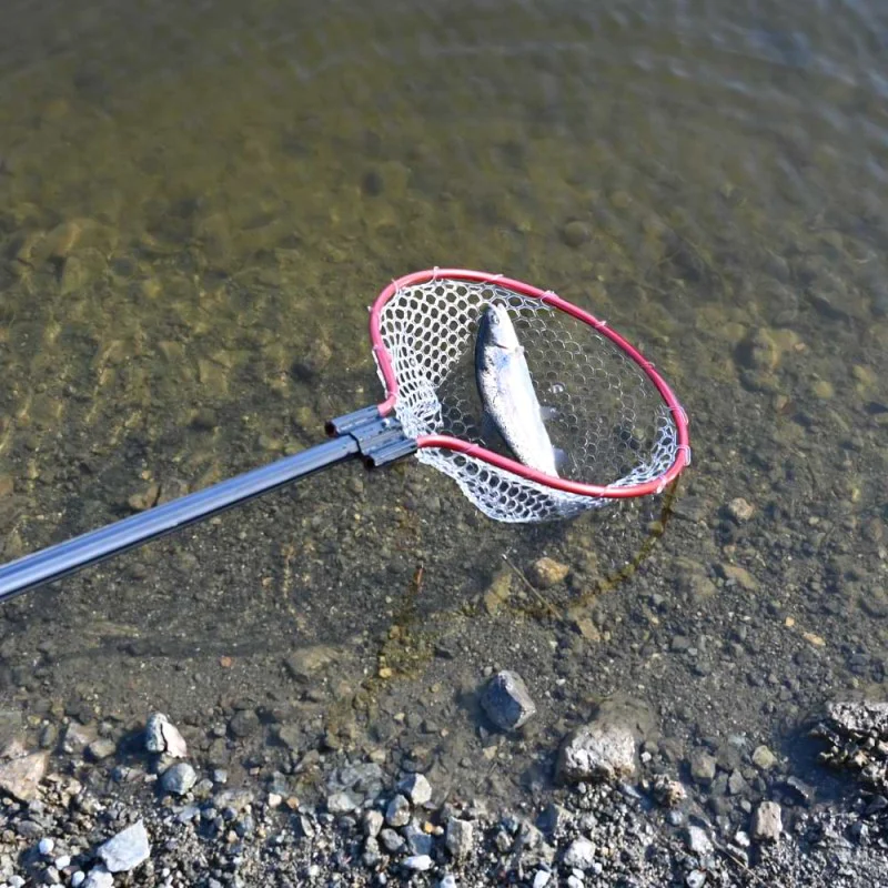 Кеп IGNESTI Area Net 80cm 45х40х25cm