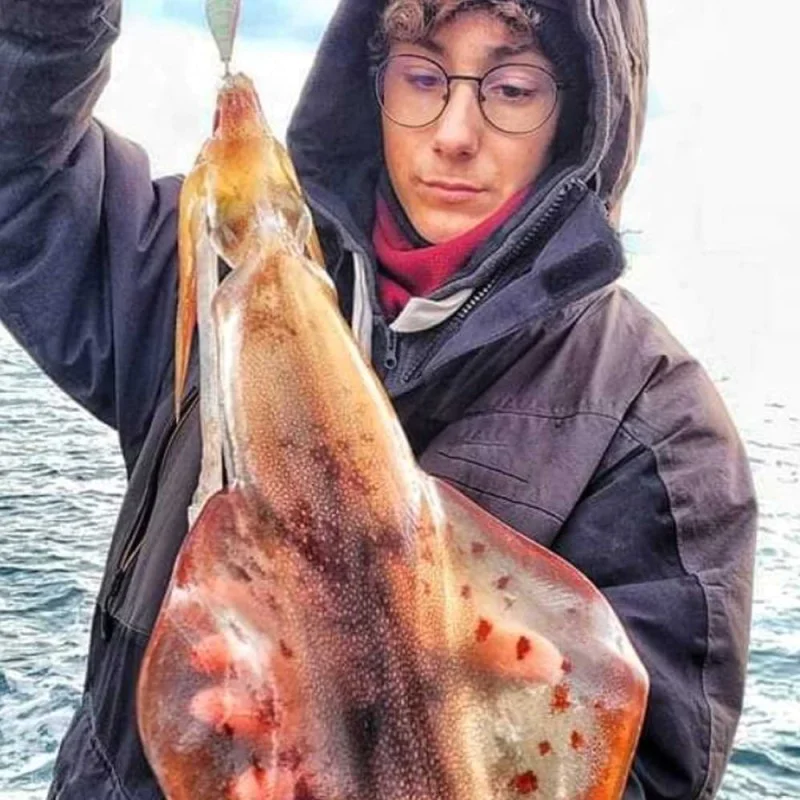 Калмариера IGNESTI Totanara Squid Egi Soft Rivestita 2″