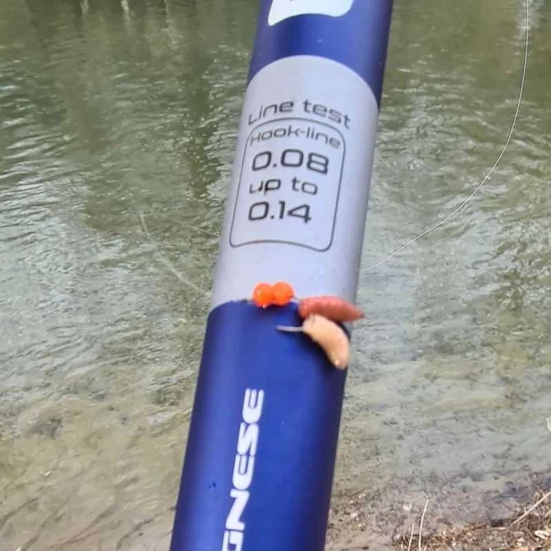 Болонеза ITALICA Infinite Medium 7m