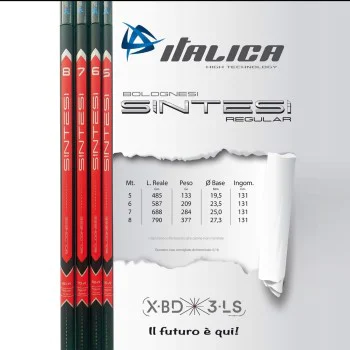 Болонеза ITALICA Sintesi Regular 8m