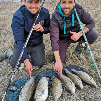 Болонеза ITALICA Fortexa FBP Medium 6m