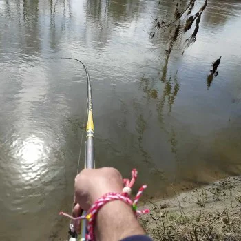 Болонеза ITALICA Fortexa FBS Light 5m