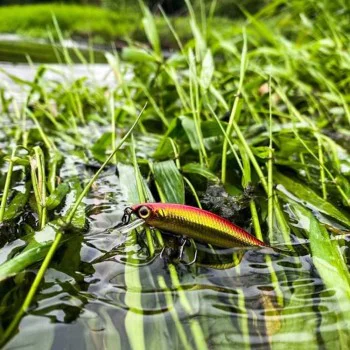 Воблер JACKALL Flat Fly 50SP 50mm 2.3g Suspending