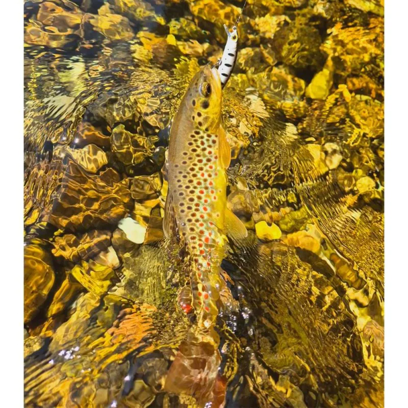 Воблер JACKALL Flat Fly 50SP 50mm 2.3g Suspending