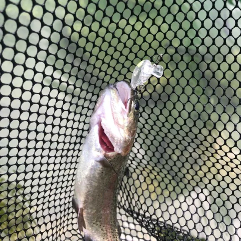 Воблер JACKALL Area Man Crank Dad 28F 28mm 2g Floating