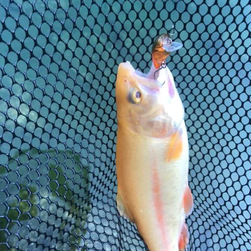 Воблер JACKALL Area Man Crank Dad 28F 28mm 2g Floating