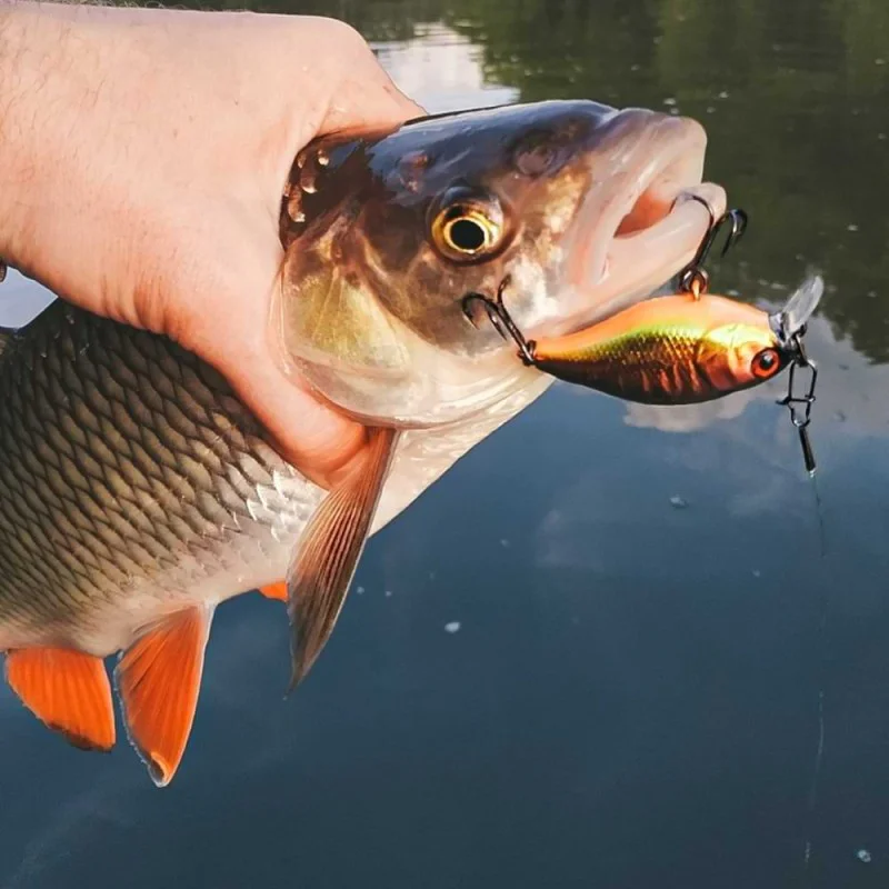 Воблер ЈАСКАLL Сherrу 44F 44mm 6.2g Flоаtіng