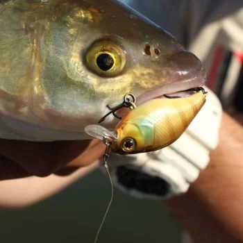 Воблер ЈАСКАLL Сherrу 44F 44mm 6.2g Flоаtіng