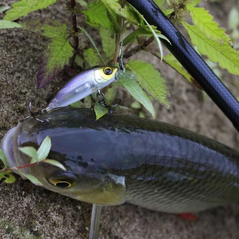 Воблер JACKALL Chubby Minnow 35SP 35mm 2.3g Suspending