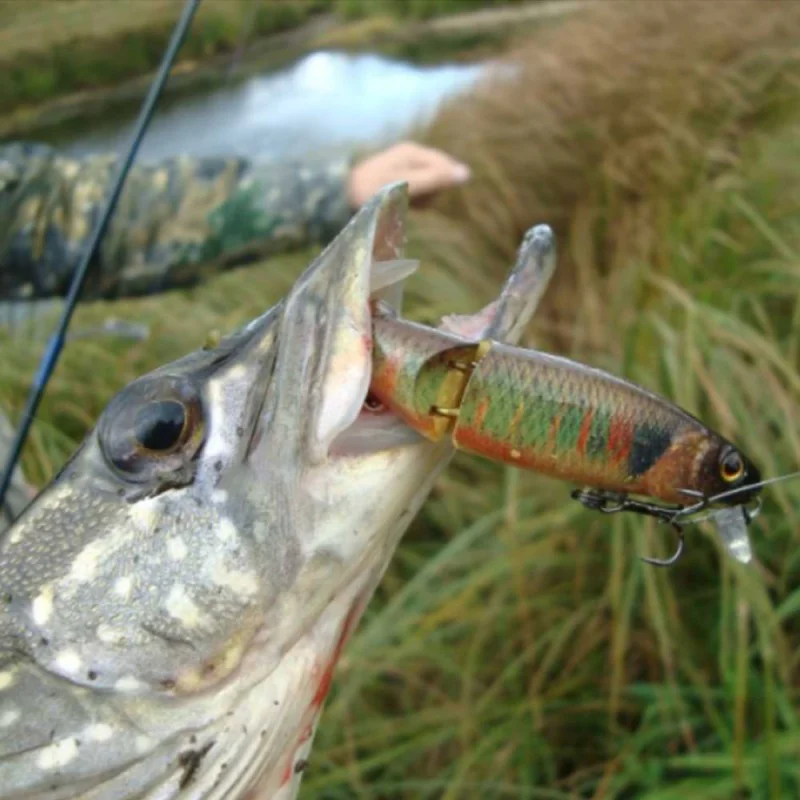 Воблер JACKALL Tiny Magallon 88SP 88mm 7.2g Suspending