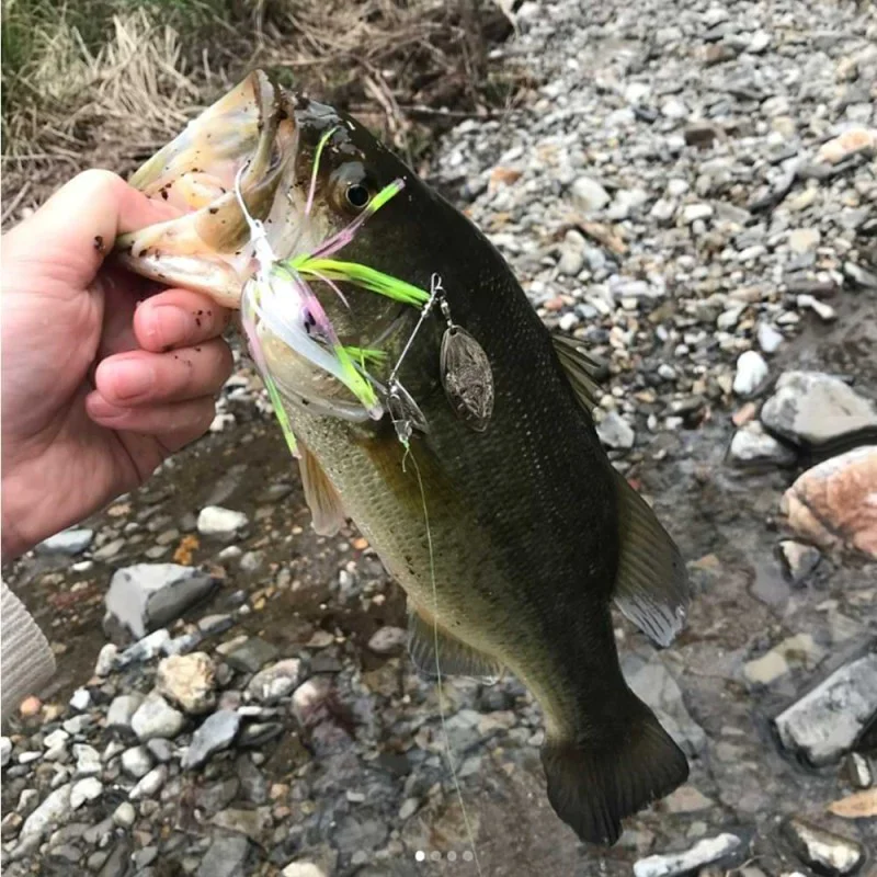 Спинър JACKALL Super Eruption Jr. 20g