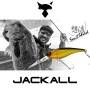 Воблер JACKALL Soul Shad 62 DDR SP 6.8g 62mm