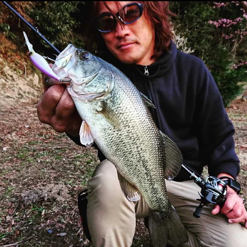 Воблер JACKALL Soul Shad 62 DDR SP 6.8g 62mm