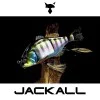 Воблер JACKALL Gantarel 160mm 70g Floating