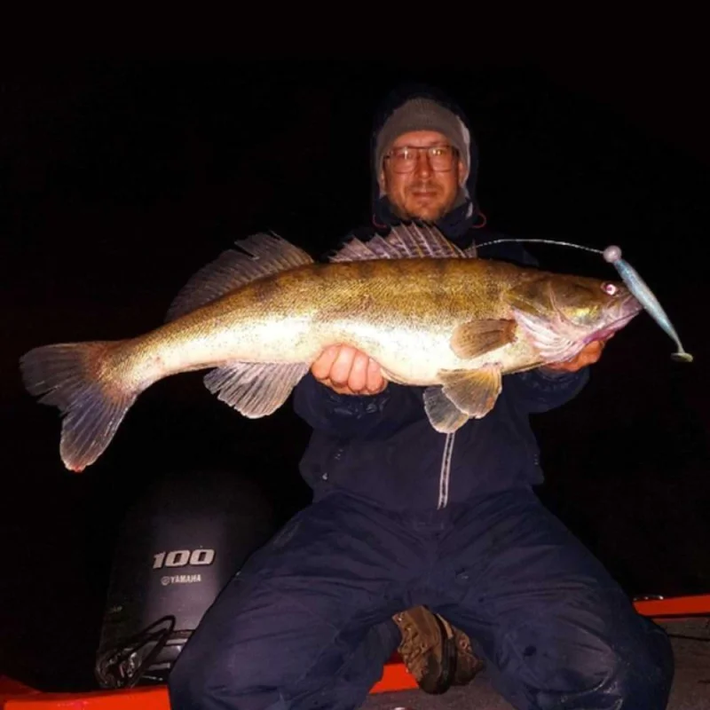 Силиконова примамка JACKALL Rhythm Wave 4.8 inch