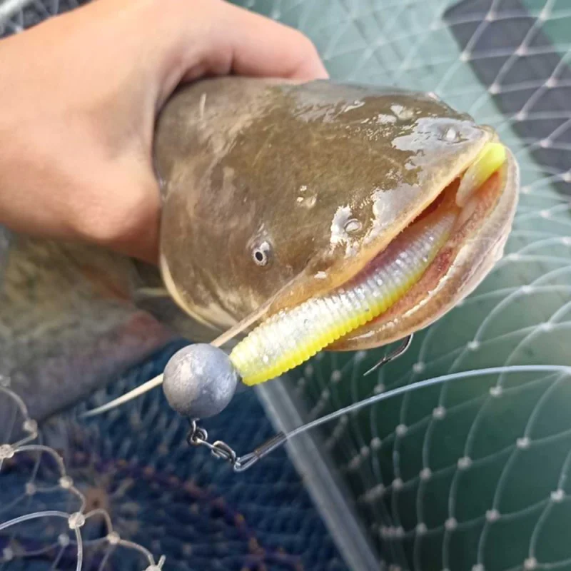 Силиконова примамка JACKALL Rhythm Wave 4.8 inch