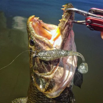 Силиконова примамка JACKALL Ammonite Shad 5.5 inch