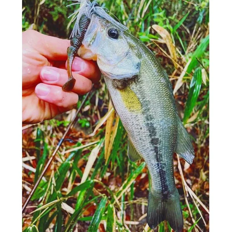 Силиконова примамка JACKALL Ammonite Shad 3 inch