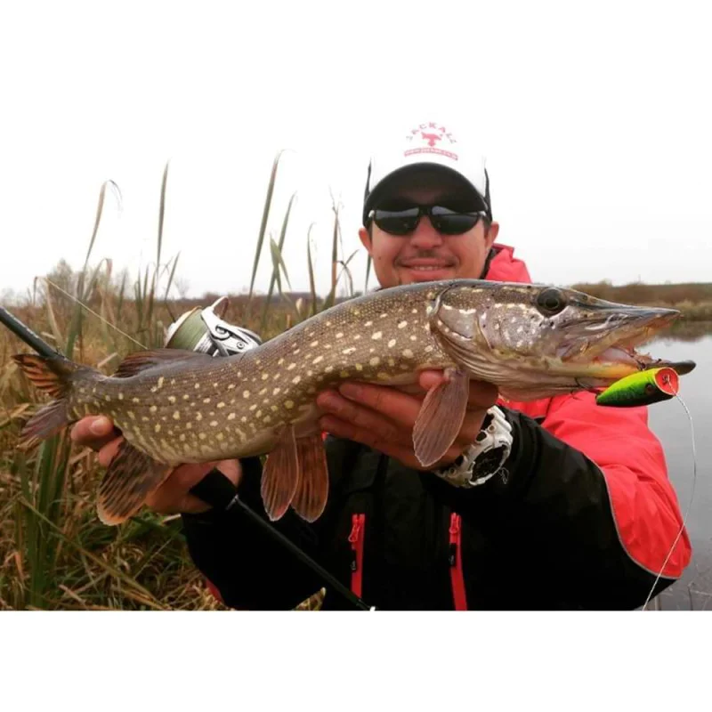 Попер JACKALL SK-Pop Grande Hiramura Custom 65mm 9g Floating