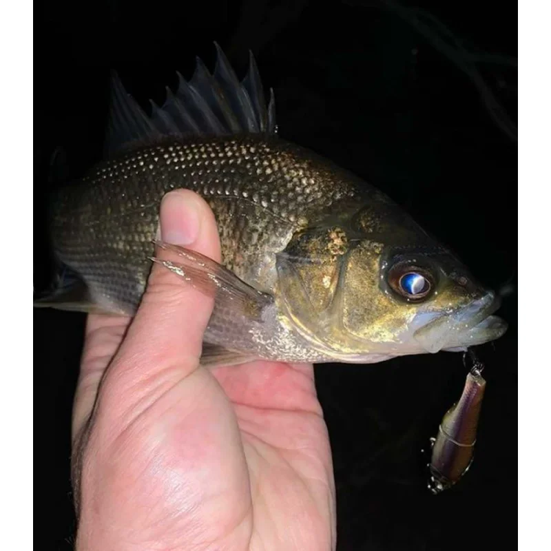 Воблер JACKALL Spy Tail 70SS 70mm 4.3g