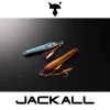 Волфрамов джиг JACKALL Raspateen TG 8cm 60g